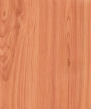 HDF AC3 E1 E0 High Quality Laminate Flooring (KN1304)