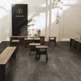 European Design Porcelain Floor Tile for Living Room (CLT603)