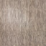 Zebra Pattern New Design 600X600mm Wall and Floor Rustic Tile