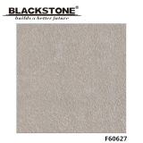 Decoration Material 600X600mm Rustic Porcelain Floor Tile (F60627)
