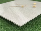 Buliding Material Floor Wall Ceramic Porcelain Wall Tile (SHA601)