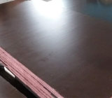 Brown Poplar Core Film Faced Waterproof Shuttering Plywood (18X1220X2440mm)