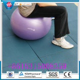 Children Rubber Flooring/Interlocking Gym Floors/Gym Rubber Tile