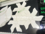 Popular White Marble Mosaic Pattern