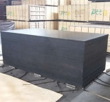 15X1220X2440mm Black Poplar Film Faced Plywood for Construction