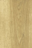 8.3mm HDF Laminated Flooring Grey Oak Color 1616