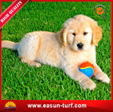 Best Price Artificial Grass Mat for Dogs