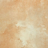 Popular Design for Rustic Porcelain Matt Surface Floor and Wall Tile 600X600mm Fp6602