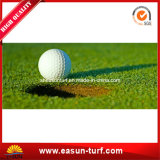 Golf Putting Green Artificial; Grass Turf