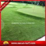 Golf Putting Green Artificial Grass Golf Grass