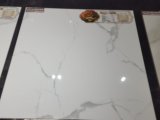 66e0101q Glazed Porcelain Tile/Floor Tile/Wall Tile/Marble Tile/600*600 with 1% Water Absorption