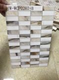 200X300 mm Bathroom Ceramic Wall Tile