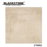 Popular 600X600mm Rustic Porcelain Flooring Tile for Building Decoration (CT6002)