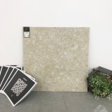 Italian Concept Building Materials 600X600mm Flooring Tile (TER601-BEIGE)