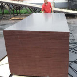 Brown Film Faced Shuttering Poplar Waterproof Plywood Construction (21X1250X2500mm)