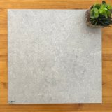 Building Material Ceramic Floor and Wall Tile Ash (BLU601)