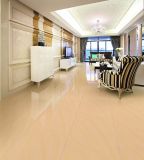 Natural Polished Stone Granite Tiles for Floor / Flooring & Wall