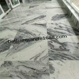 Low Price Cloudy Grey Marble Tile Marble Floor Tile