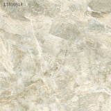 Modern Design Glazed Porcelain Floor Tiles in China (LT8Y081A)