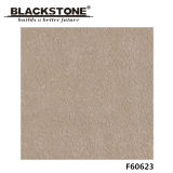 New Arrival 600X600mm Glazed Porcelain Flooring Tile with Matt Surface (F60623)