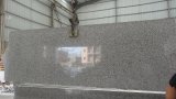 G623 Granite Slab for Kitchen/Bathroom/Wall/Floor