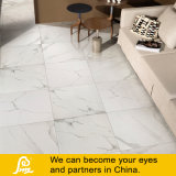 Glazed Polished Porcelain Stone Tile Carrara Calacatta and Statuario