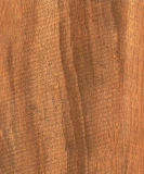 Laminate Flooring (KN1330)