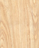 Laminate Flooring--Kn1188