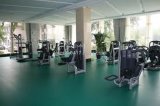 PVC Gym Floor, Natural Rubber Gym Floor