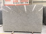 Bala White / Granite Slab for Kitchen/Bathroom/Wall/Floor