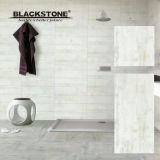 Foshan China Glazed Polished Porcelain Tile (BM60P118A)