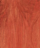 Laminate Flooring--Kn1239