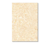 200*300 mm Ceramic Wall Tile