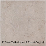 Building Material 300X300mm Rustic Porcelain Tile (TJ3024)