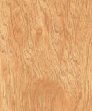 Laminate Flooring (KN1323)