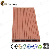 WPC Waterproof Outdoor Floor (tw-02b)