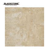 600X600mm Hot Design Porcelain Inkjet Rustic Floor Tiles (661401NA3)