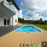 Hot Sales Wood Plastic Composite Flooring (TS-01)