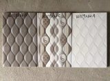 25X40cm 30X60cm Good Price Ceramic Wall Tiles