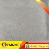 600*600 New Style Glazed Floor Tiles (PM60101)