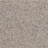 Floor and Wall Glazed Porcelain Rustic Tile (6W002)