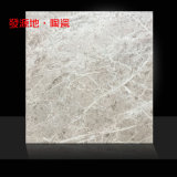 Ceramic Floor Tile with White Net 6A089