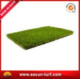 Free Samples for Landscaping Artificial Grass