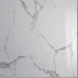 Best Home Porcelain Ceramic 60X60 and Porcelain Tile