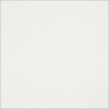 Super Snow White Full Body Porcelain Polished Floor Tile (SW601BP)