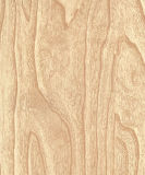 Laminate Flooring (KN1158)