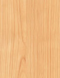 Laminate Flooring--Kn1309