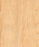 Laminate Flooring (KN1160)