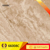 Building Material Natural Marble Wall Floor Tiles (66008C)