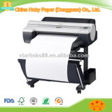 Chinese Plotter Paper with Factory Price